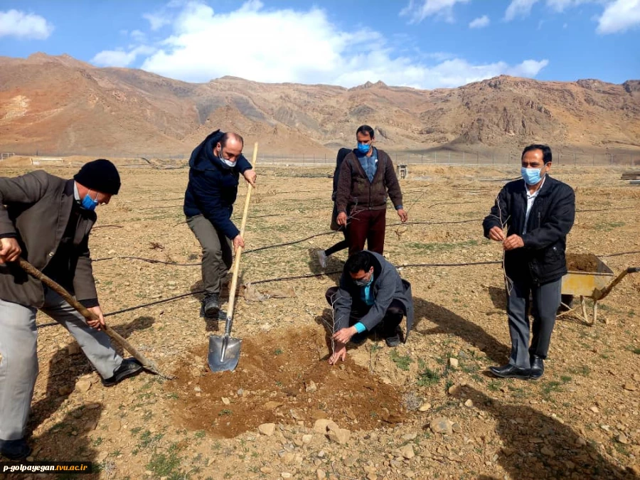طرح پویش ملی همکاشت در آموزشکده فنی و حرفه ای پسران گلپایگان 8