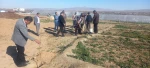 مراسم روز درختکاری در آموزشکده فنی و حرفه ای پسران گلپایگان برگزار شد. 3