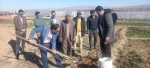 مراسم روز درختکاری در آموزشکده فنی و حرفه ای پسران گلپایگان برگزار شد. 4