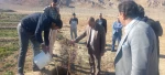 مراسم روز درختکاری در آموزشکده فنی و حرفه ای پسران گلپایگان برگزار شد. 15
