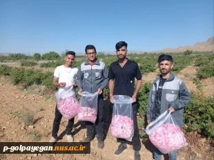 برگزاری جشنواره گل و گلاب همزمان با دومین ماه از فصل زیبای بهار؛ 4
